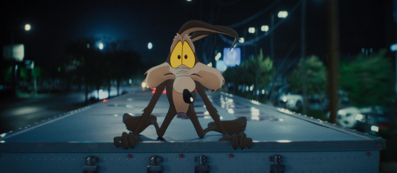 Coyote vs Acme
